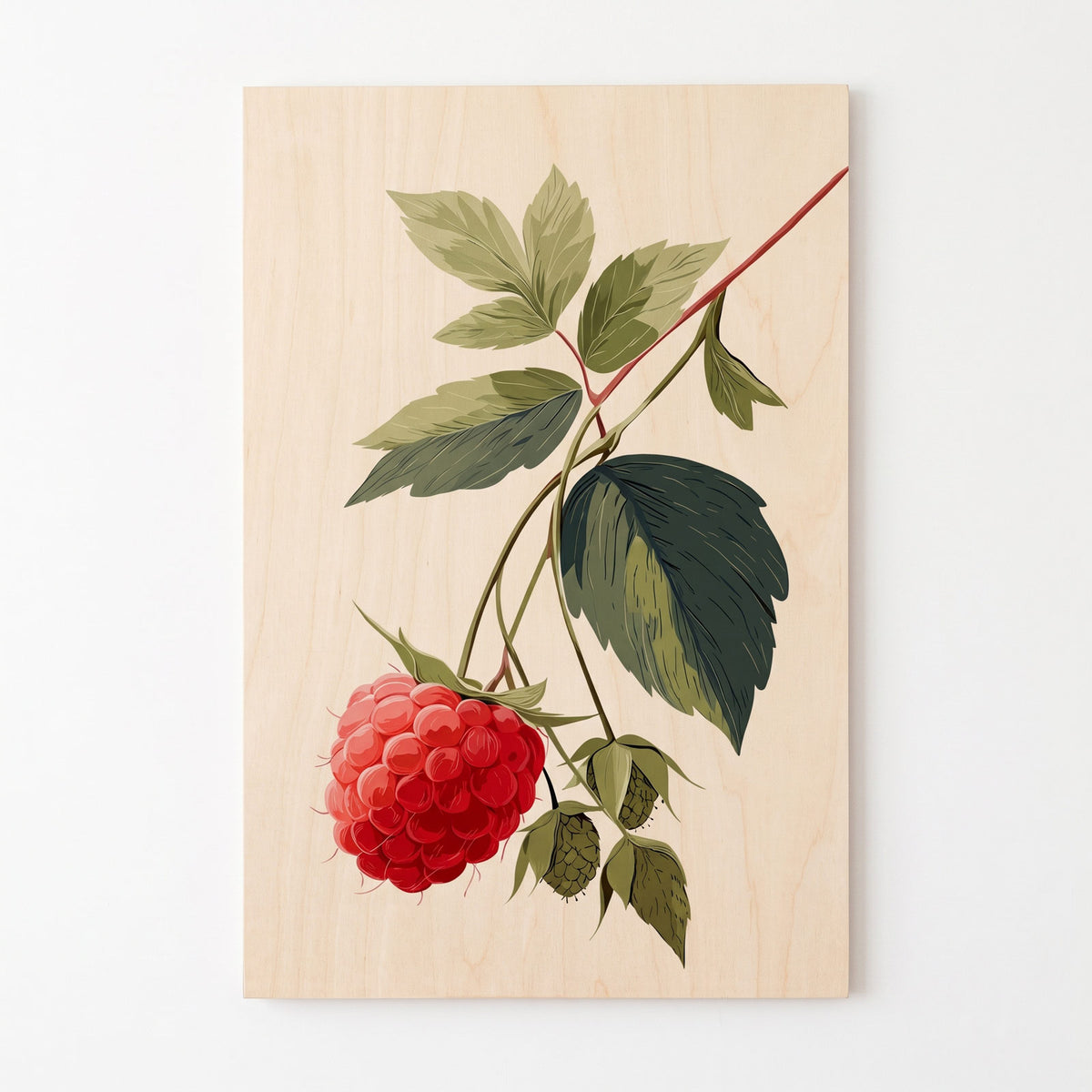 Nordic raspberry botanical - Modern home decor plywood wall art