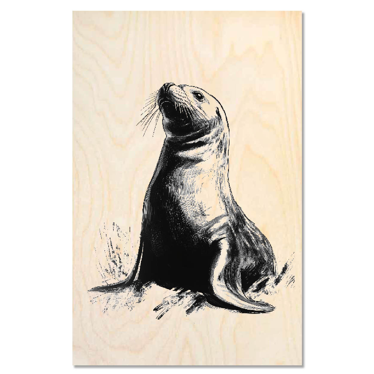 Seal