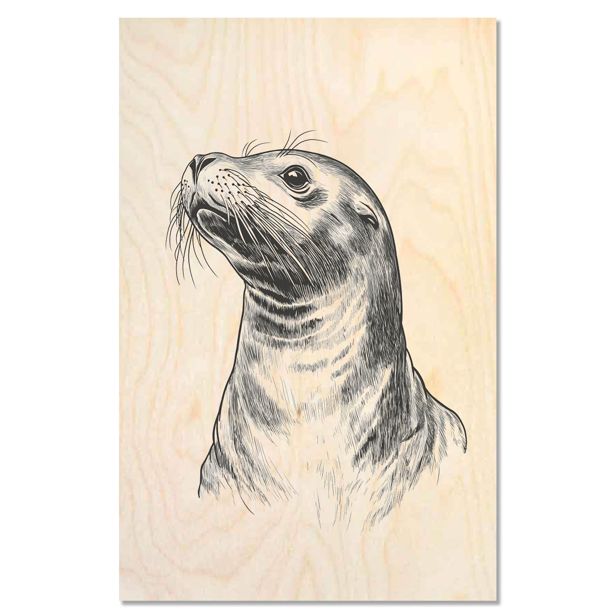 Seal 2