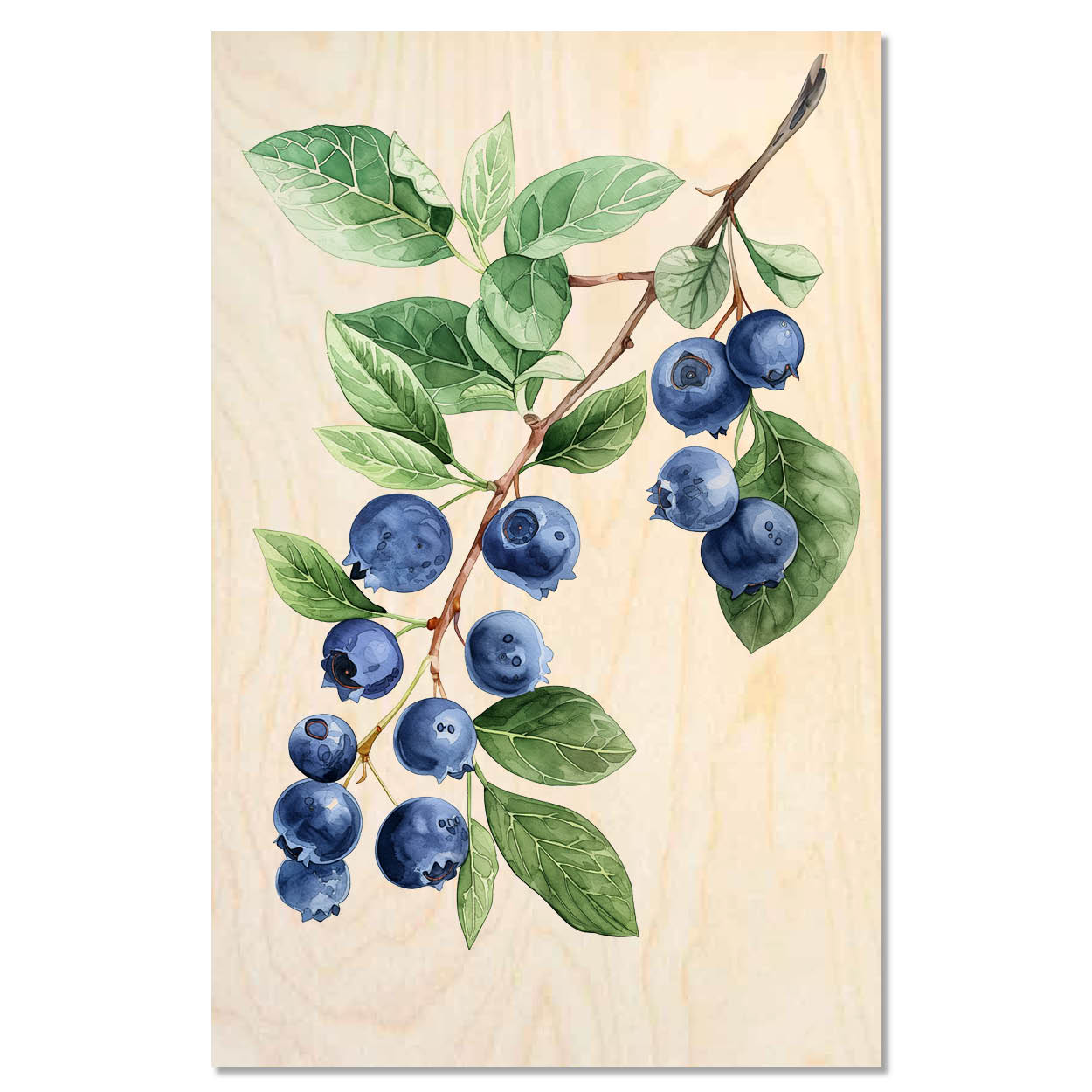 Blueberry Branch — Nordic blueberries