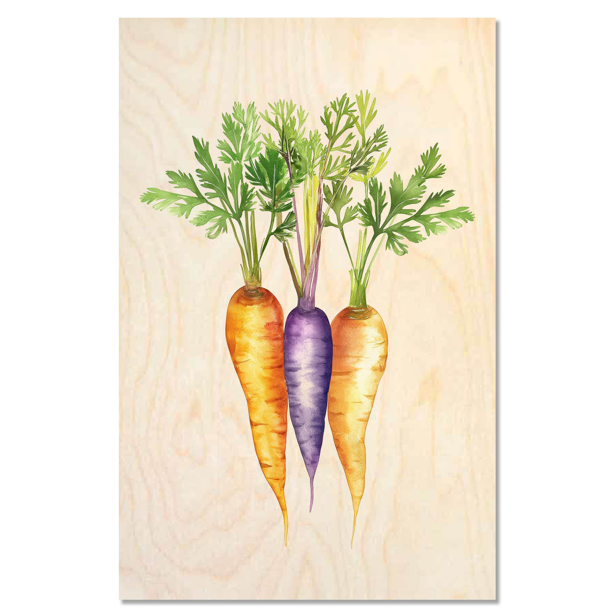 Colorful carrots - Bright kitchen veggies