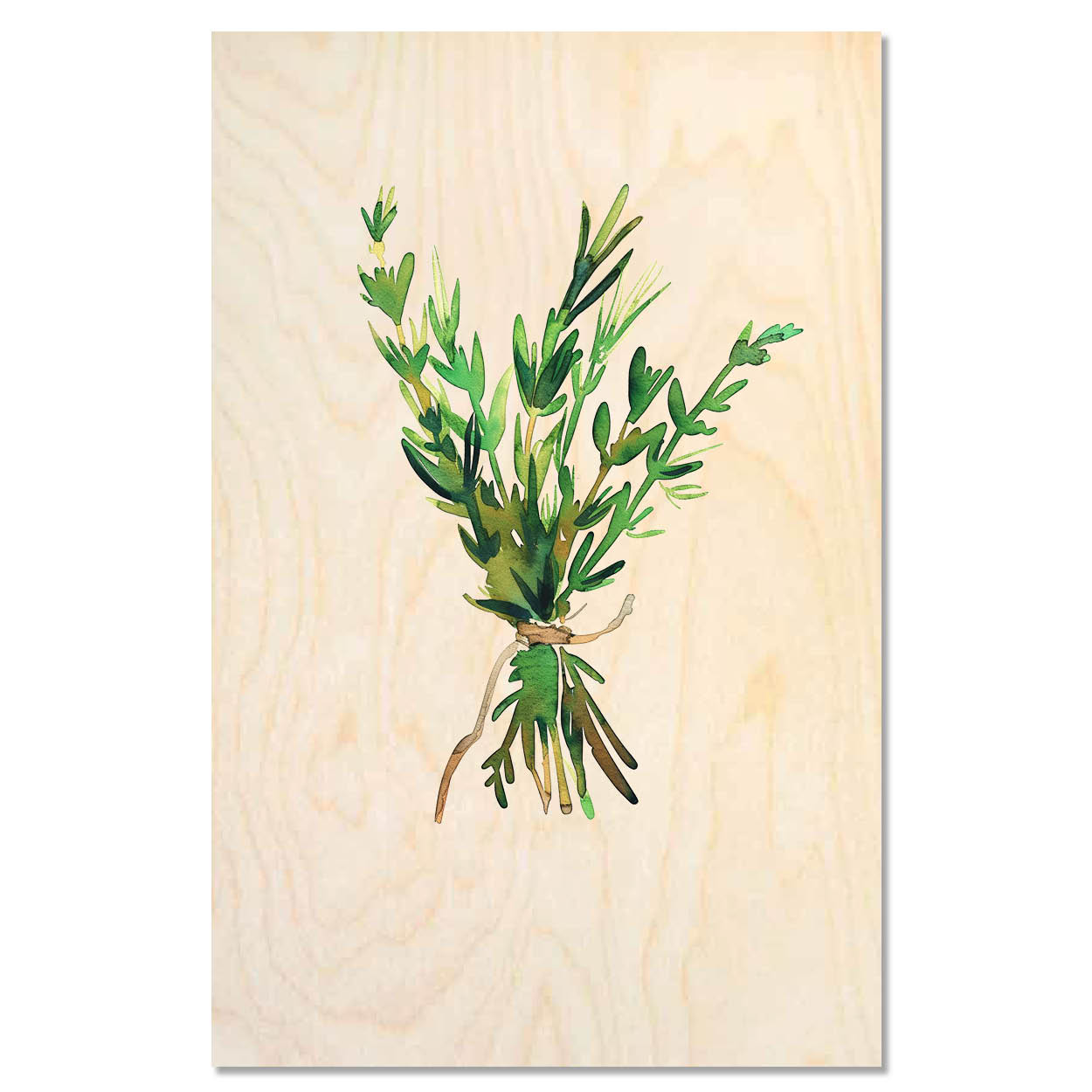 Thyme bundle - Rustic cooking herb