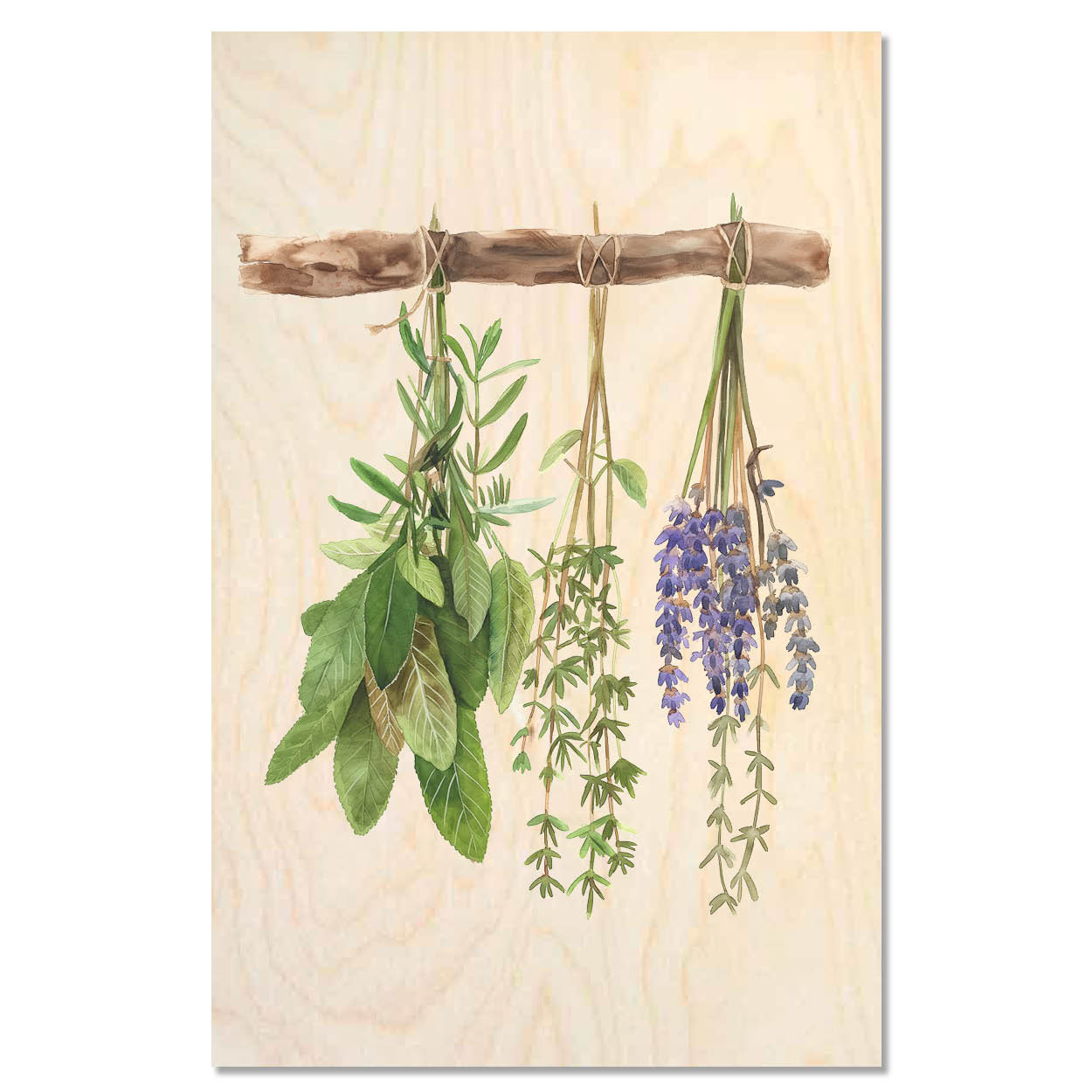 Dried herbs - Farmhouse kitchen