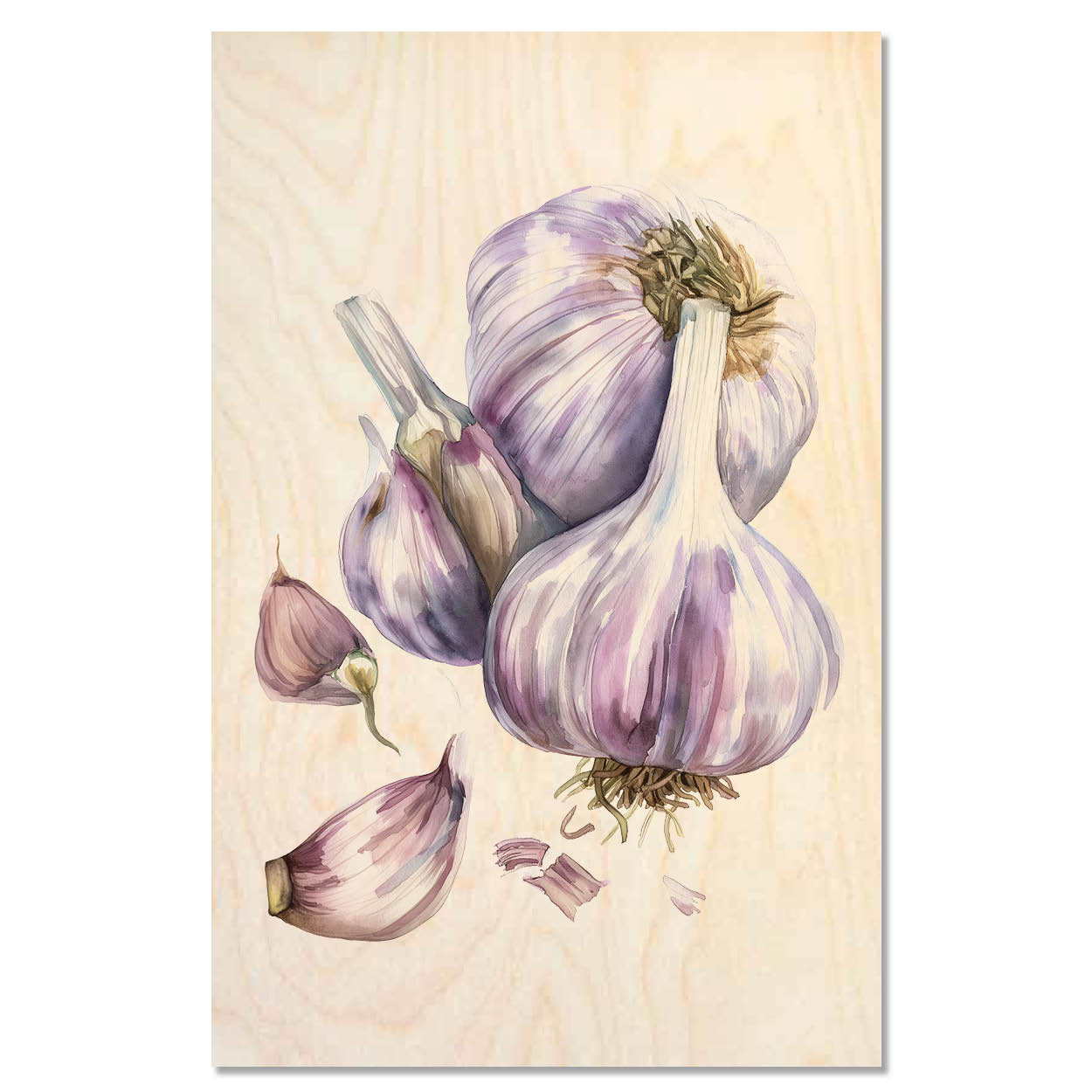 Garlic illustration - Garlic art