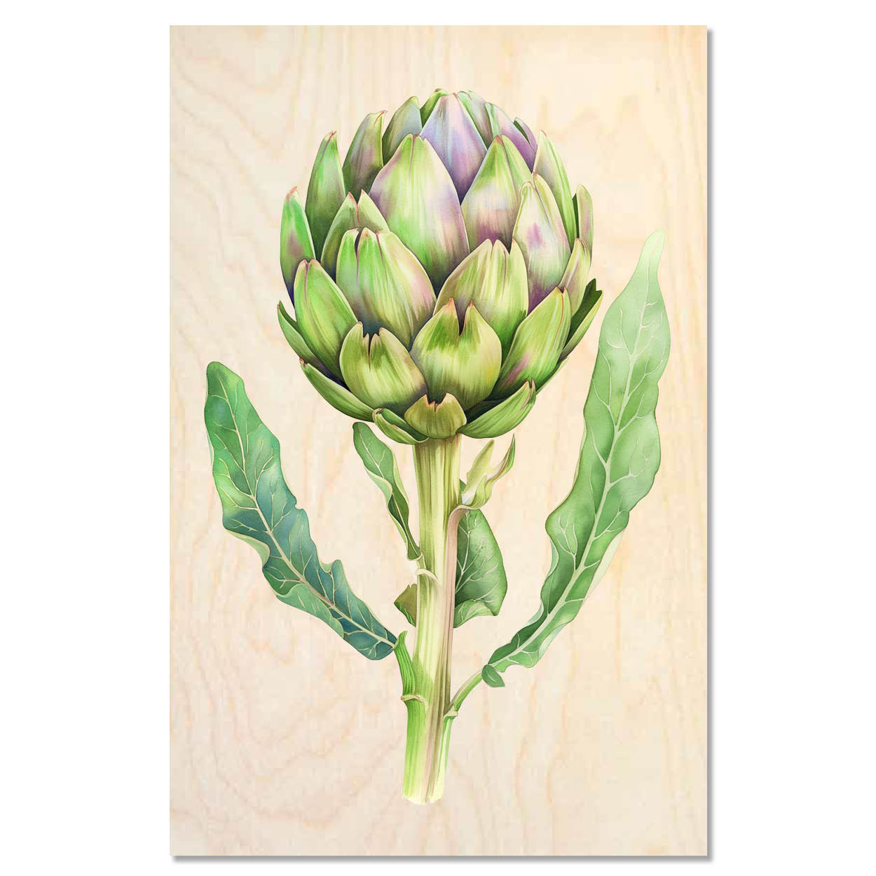 Artichoke — Detailed green artichoke