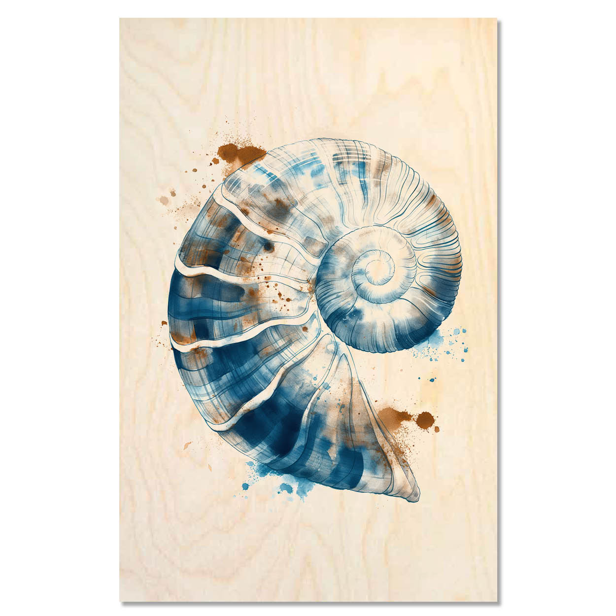 Spiral sea shell – Sea Harmony