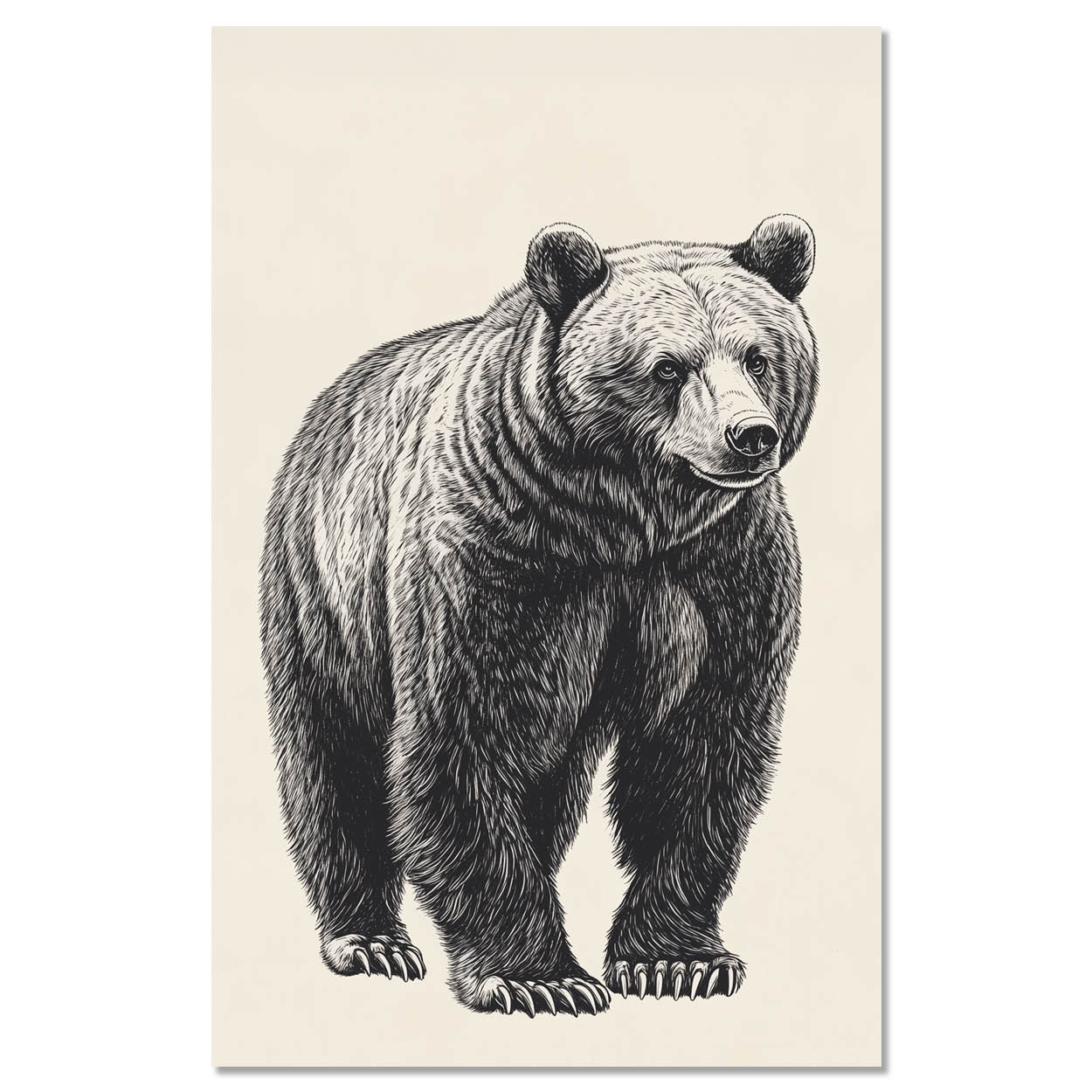 Vintage bear illustration