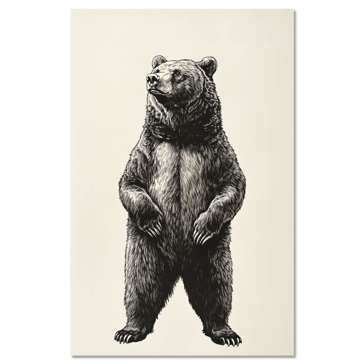 Vintage brown bear illustration