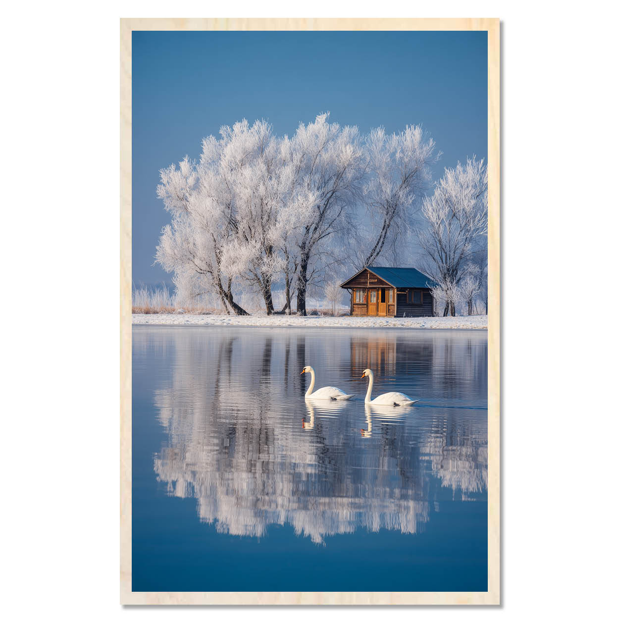 White swans